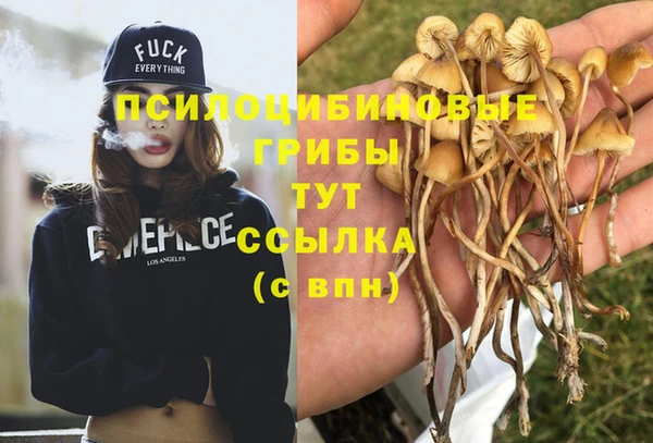 круглые Вязники