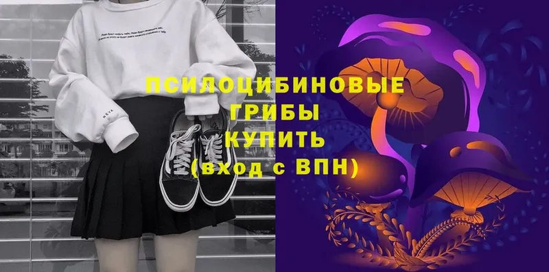 Галлюциногенные грибы Magic Shrooms  Абинск 